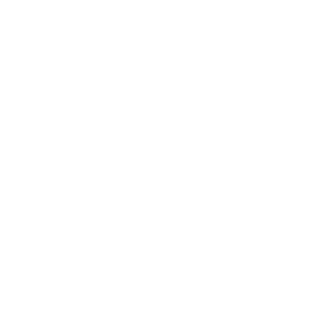 Action Security logo