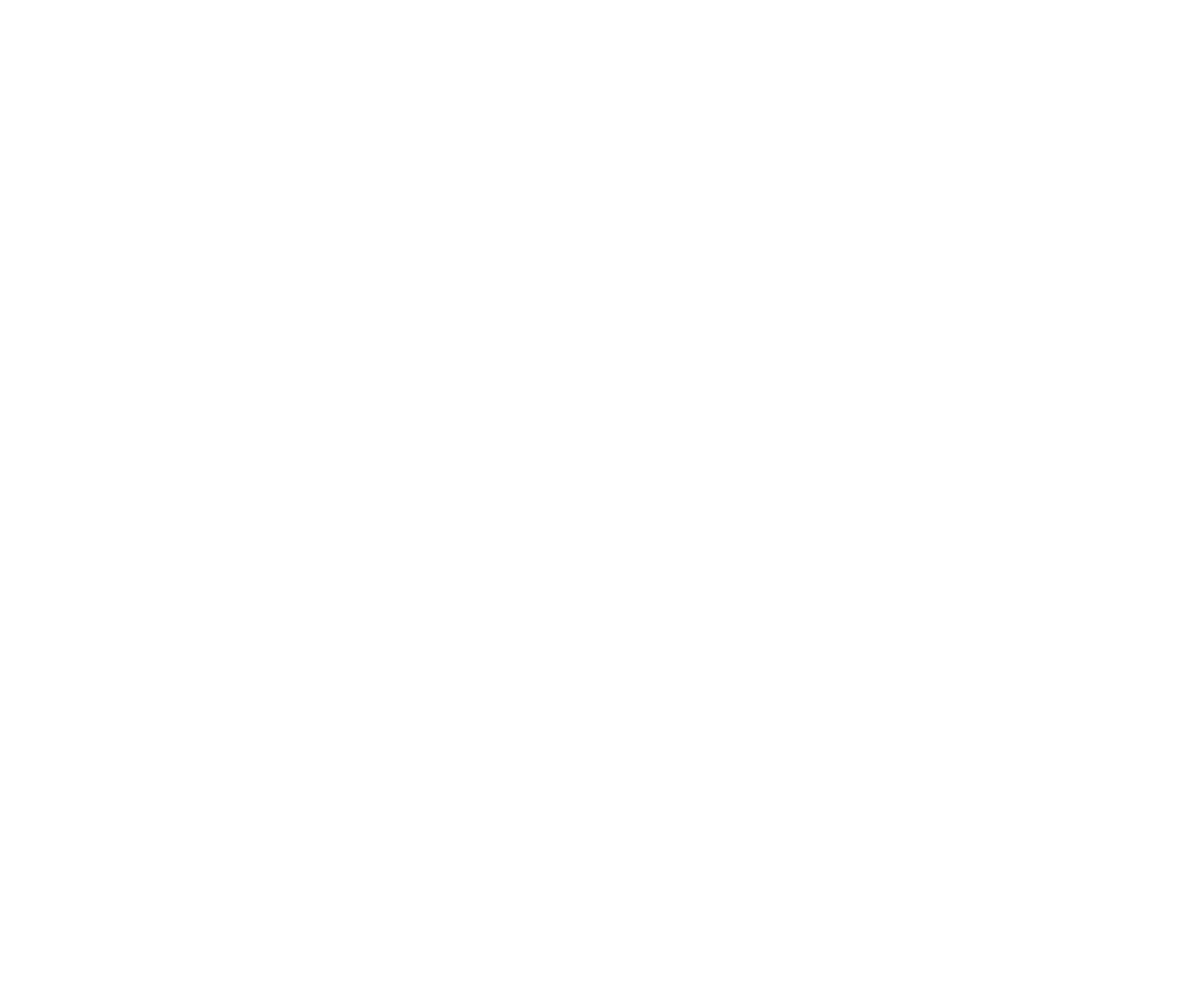 Global Ehimax logo