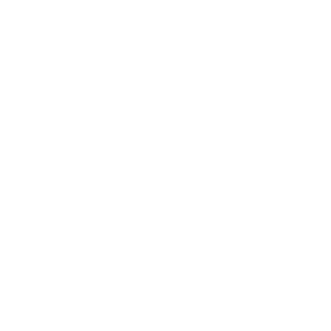 Trademaster logo